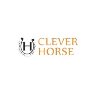 Cleverhorse.cz